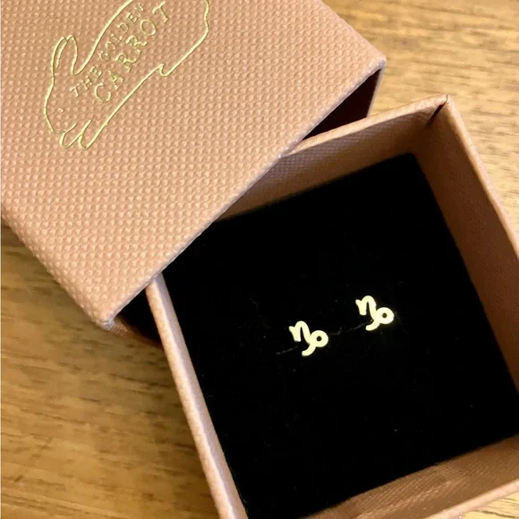 New!! Zoe Chicco 14k Yellow Gold Teeny Capricorn Studs from The Golden Carrot - Picture 4 of 5